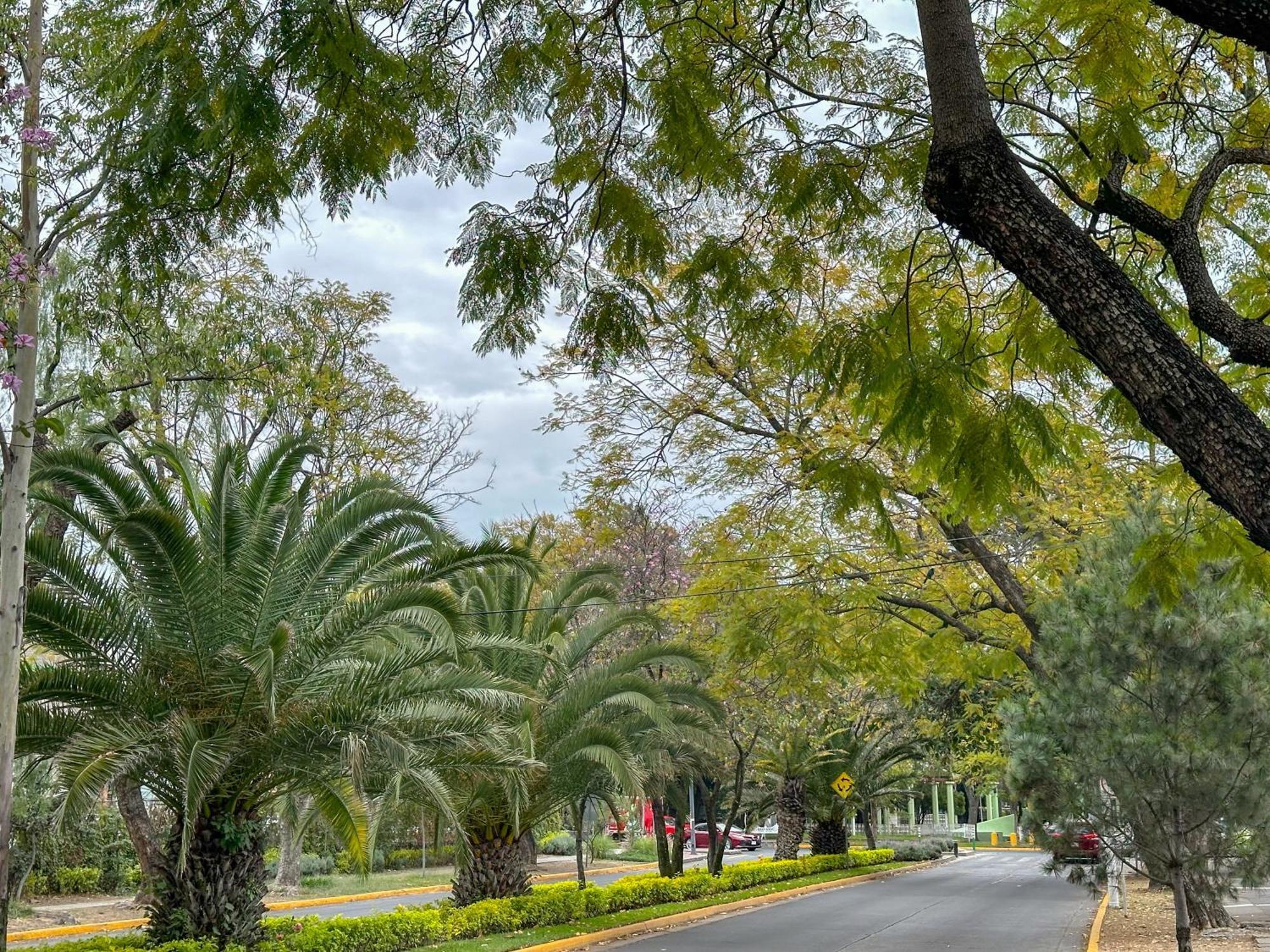Sencillo Y Acogedor Estudio En Chapalita 02 Гвадалахара Экстерьер фото